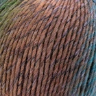 Beragna Filati Gaucho fonal 322 Ifjúság